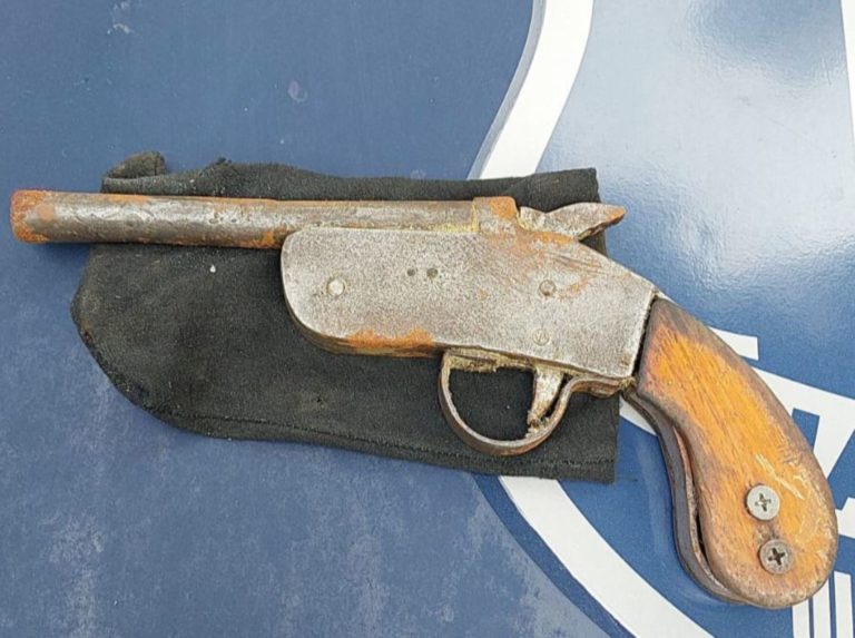 Garrucha é encontrada em banheiro químico da Praia Central