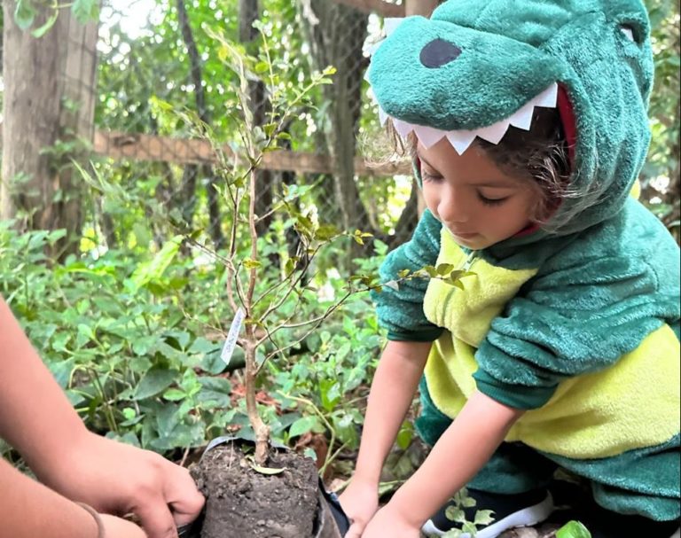 Dia Mundial do Meio Ambiente na Roda Gigante de Balneário Camboriú