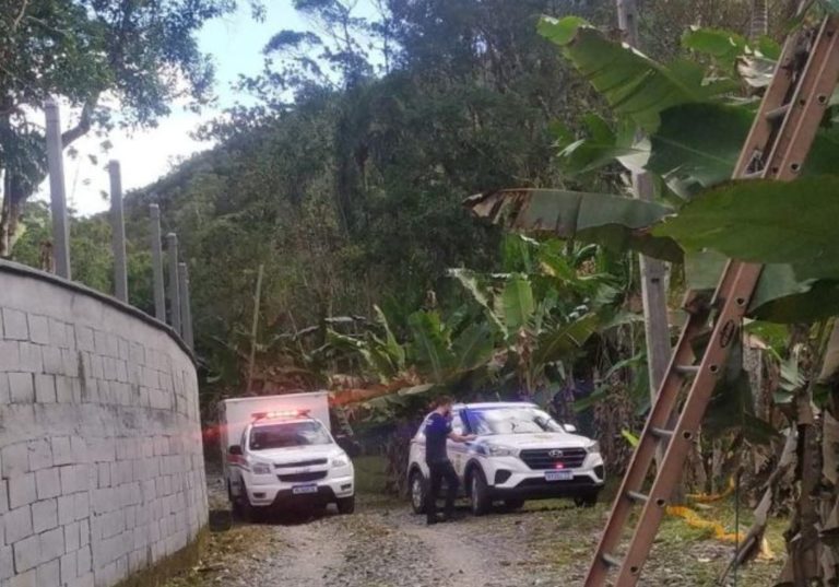 Técnico de telefonia morre atingido por árvore em Brusque