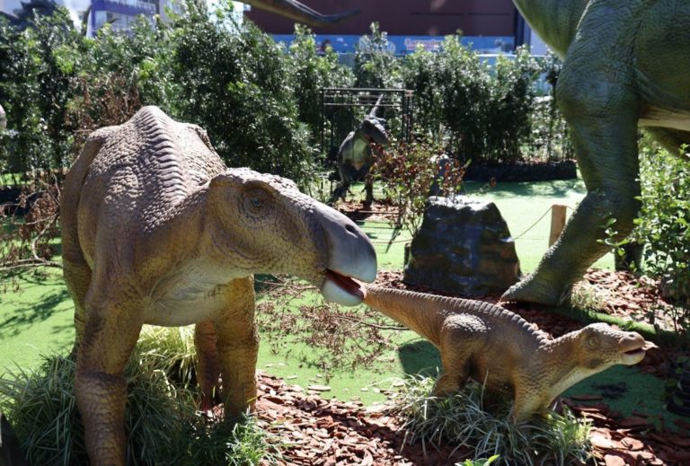 Mês do Paizão: Experiência Dinos é prorrogada no Oceanic Aquarium