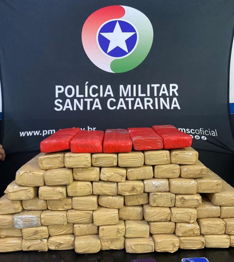 Operação da PM desarticula quadrilha que distribuía drogas em BC