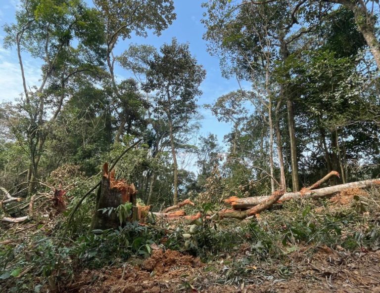 FUCAM e PM apreendem máquina usada em desmatamento no Rio Pequeno