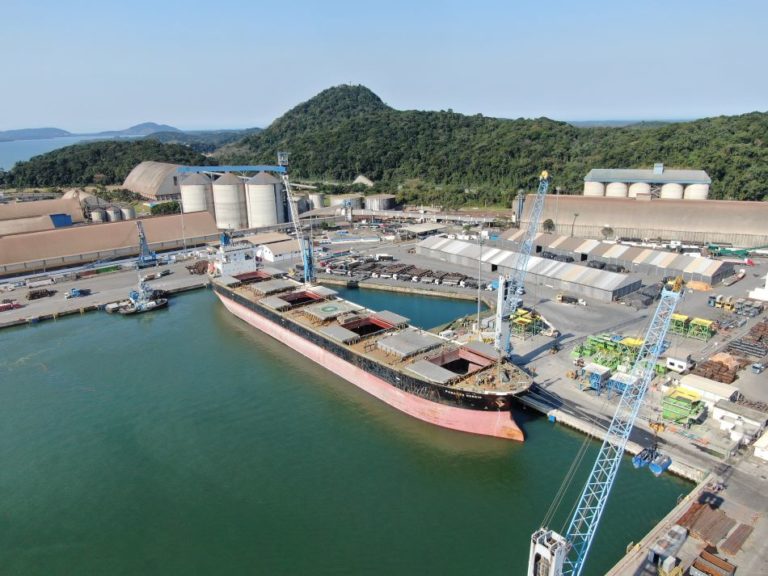 Quase 10% de toda a soja exportada pelo Brasil para a China saiu de porto catarinense