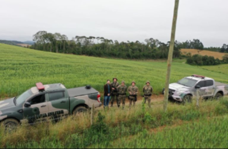 Operação “Mata Atlântica em Pé” identificou 644 hectares de desmatamento ilegal em SC