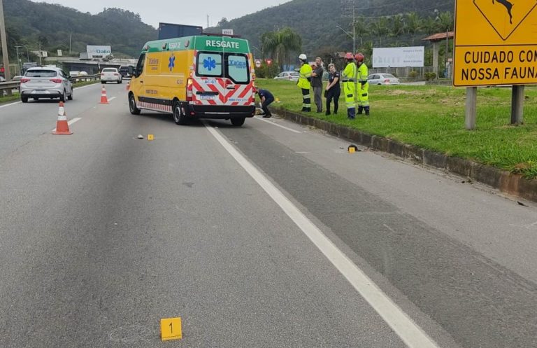 Homem morre atropelado ao tentar atravessar a BR 101