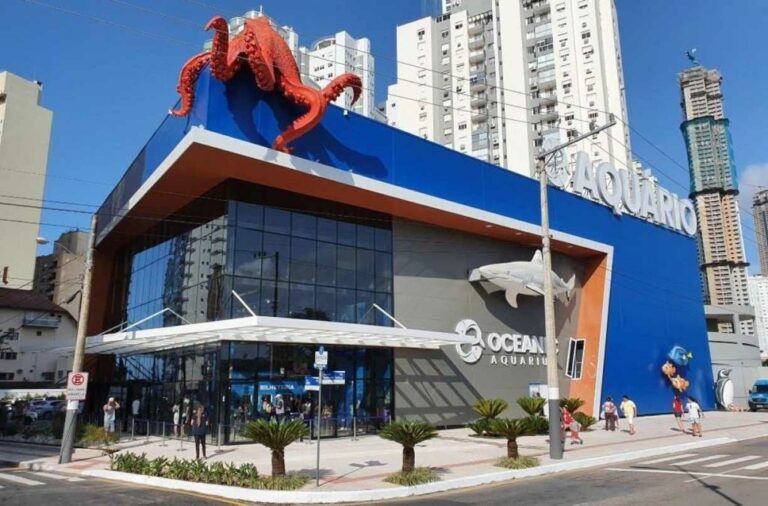 Oceanic Aquarium completa 4 anos com novas espécies e habitats