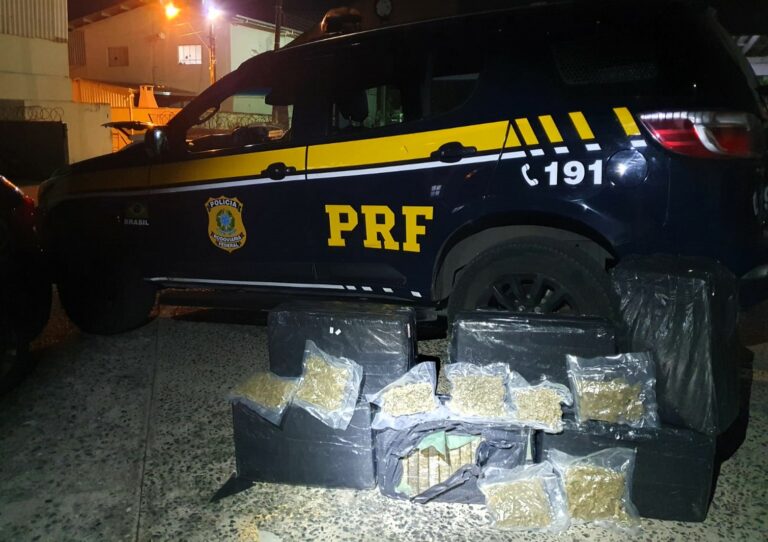 Mulher é presa com 135 kg de maconha e skunk na BR-101 em Itajaí