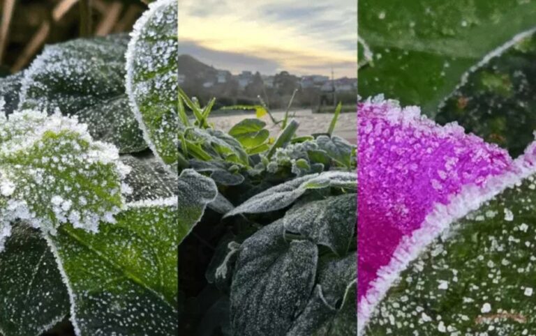 Santa Catarina registra primeira temperatura negativa de 2024