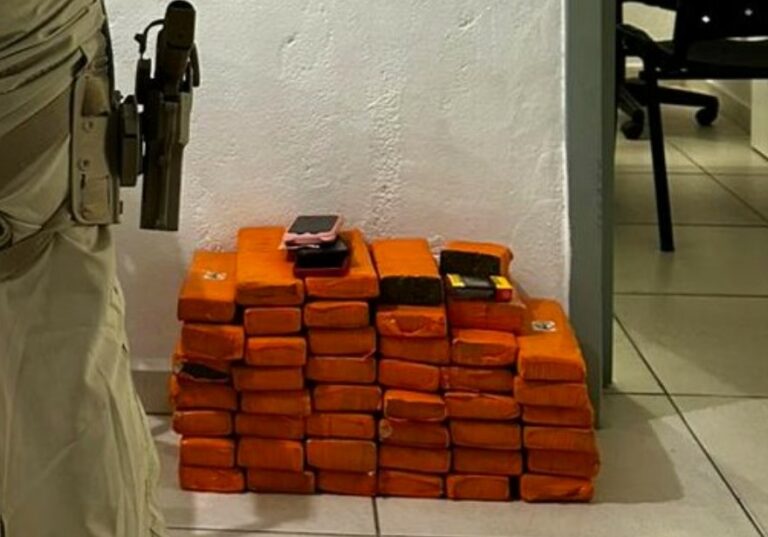 PRF localiza 39 kg de maconha em automóvel na BR-101, em Itapema