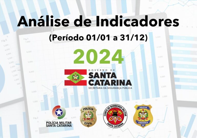 Santa Catarina registra redução em roubos, furtos e feminicídios em 2024
