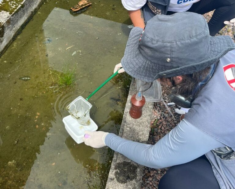 Itajaí registra salto de 335% nos casos de dengue em apenas dois dias