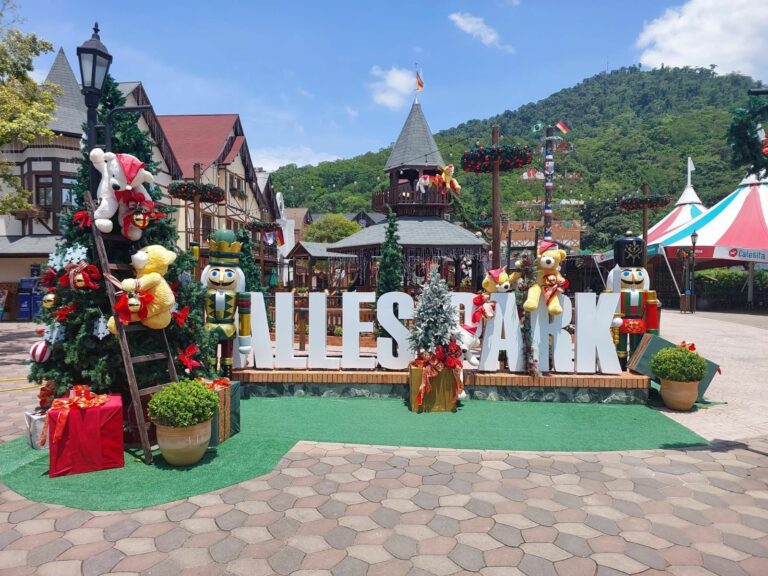 Alles Park anuncia Black Friday com passaporte em dobro