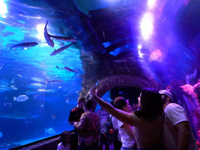 Verão em Balneário Camboriú (SC): atrativos turísticos como Oceanic Aquarium e Space Adventure ampliam horários de visitação