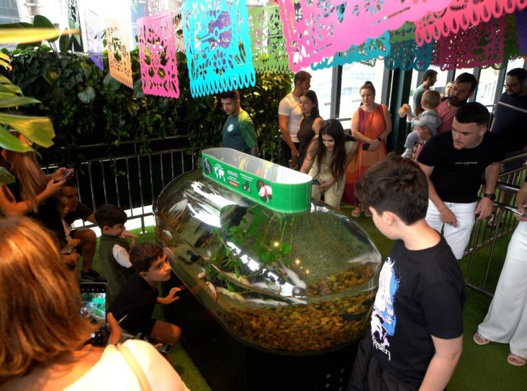 Oceanic Aquarium recebe 15 mil estudantes em projeto de educação ambiental em 2025