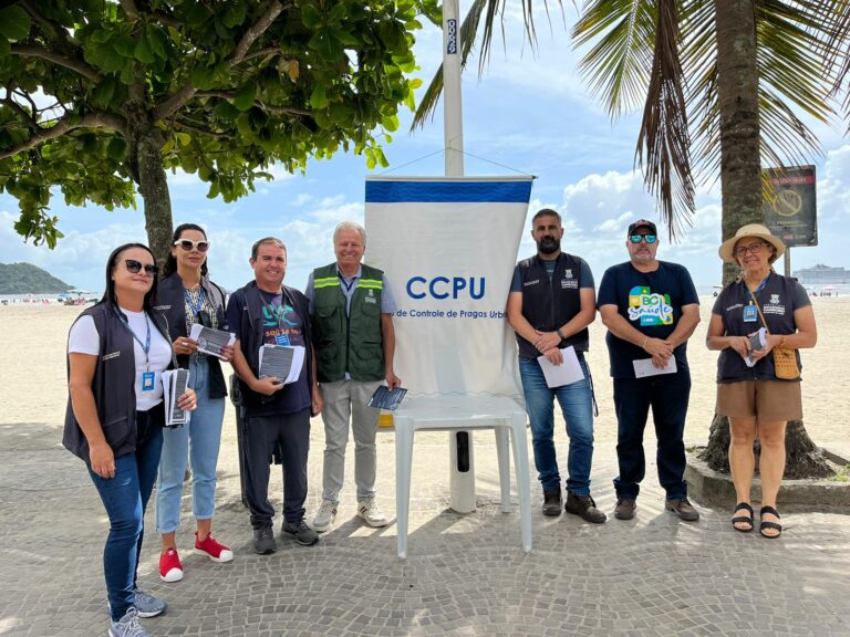Vigilância Sanitária realiza orientação sobre riscos de alimentar pombos em BC
