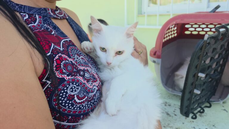Programa Pet Levado a Sério avança em Santa Catarina