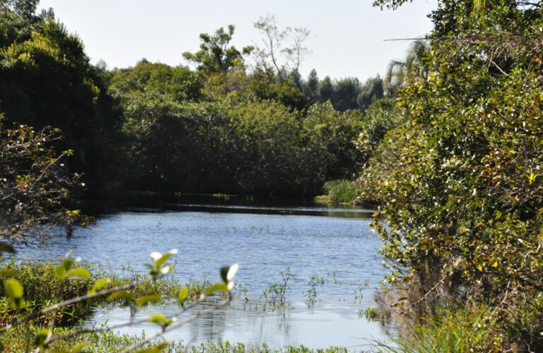 Semae promove encontros estratégicos para debater futuro da Bacia Hidrográfica do Rio do Peixe