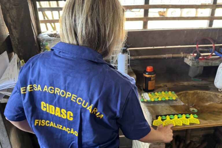Programa catarinense pioneiro em identificação individual de bovinos e bubalinos completa 18 anos