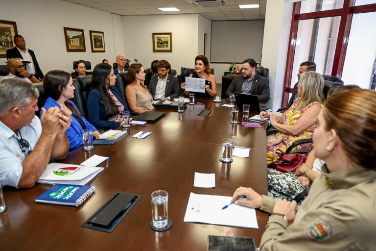 Vice-governadora reúne Comitê Gestor para avaliar ações e avançar na articulação do Plano de Combate à Violência contra a Mulher em Santa Catarina