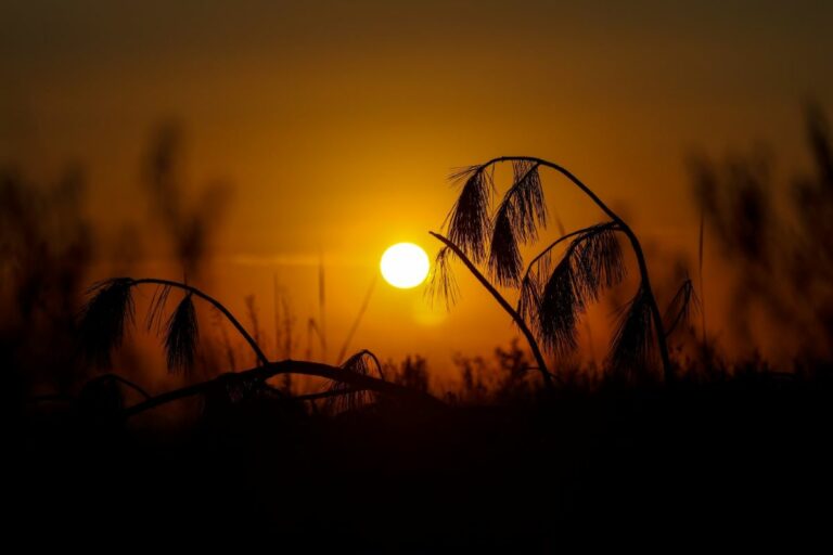 Semana começa com sol em SC, mas frente fria muda o tempo