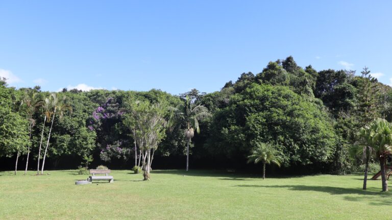 Chuvas levam ao fechamento temporário do Parque Raimundo Malta