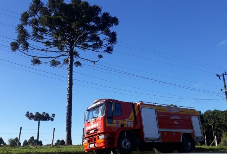 CBMSC alerta para risco de acidentes graves e orienta sobre procedimentos durante a colheita do pinhão
