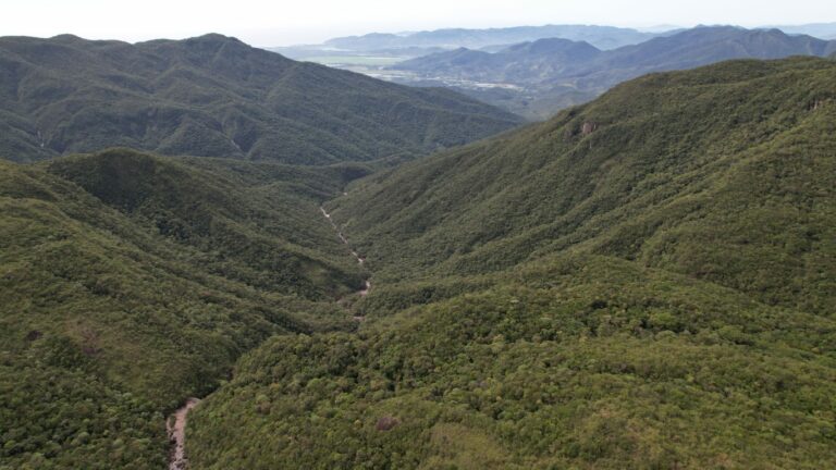IMA amplia ações de regularização e proteção no Parque Estadual da Serra do Tabuleiro