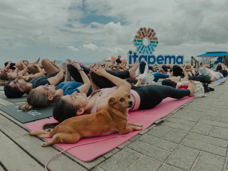 Evento Viva Praia Pet Day será realizado neste domingo em Itapema