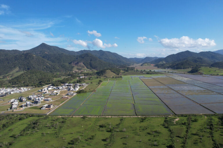 Encontro participativo para discussão do Pacuera do Parque Inundável é adiado