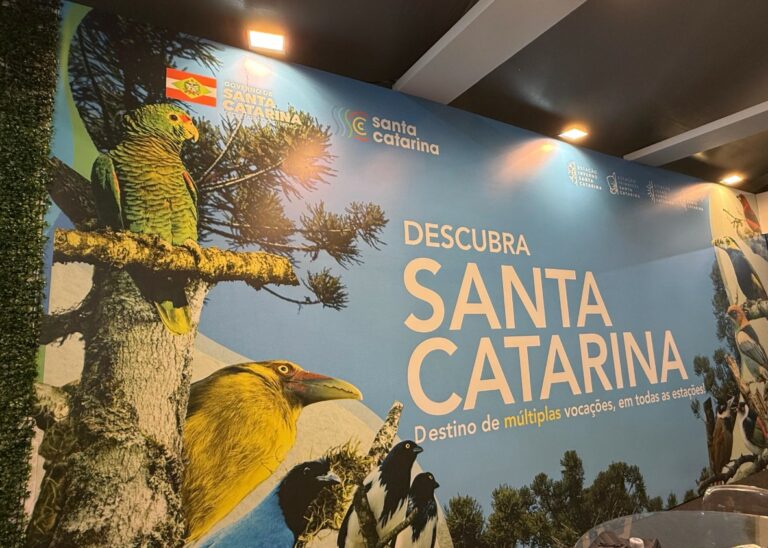 Santa Catarina busca consolidar turismo de observação de aves na Avistar
