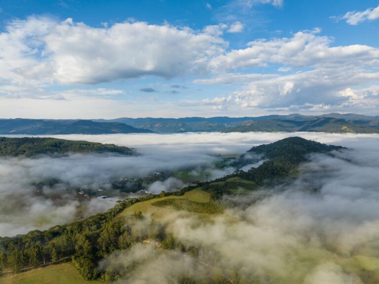 Geadas e temperaturas negativas marcam início da semana em Santa Catarina