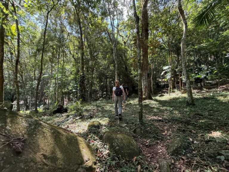 FAACI e Sebrae promovem reunião de mobilização do Roteiro Agroturístico de Itapema