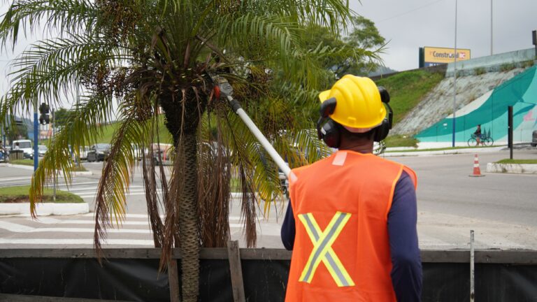 Marginal Oeste recebe serviços de limpeza e manutenção