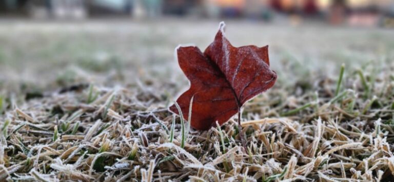 Santa Catarina terá queda brusca de temperatura e mínimas de até -5°C