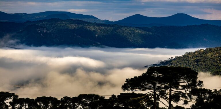 Massa de ar polar derruba temperaturas e traz frio intenso e geada em Santa Catarina no Dia das Mães