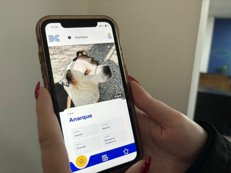 Mais de 50 animais aguardam adoção responsável pelo BC Pet