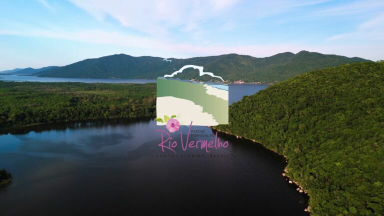 Mês do Meio Ambiente começa com lançamento de documentário em SC