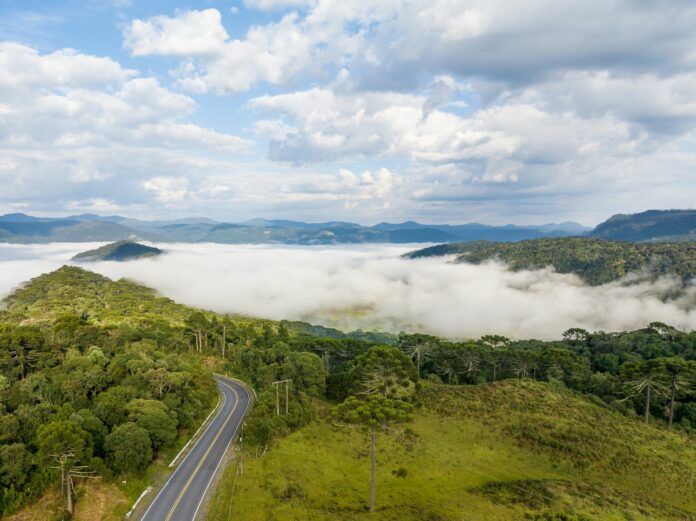 DJI_0423-1