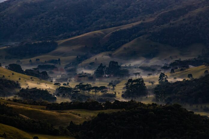 frio-5