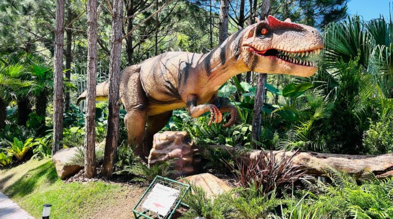 Férias de julho: Parque Aventura Jurássica reúne mais de 20 atrações para toda a família em Balneário Camboriú