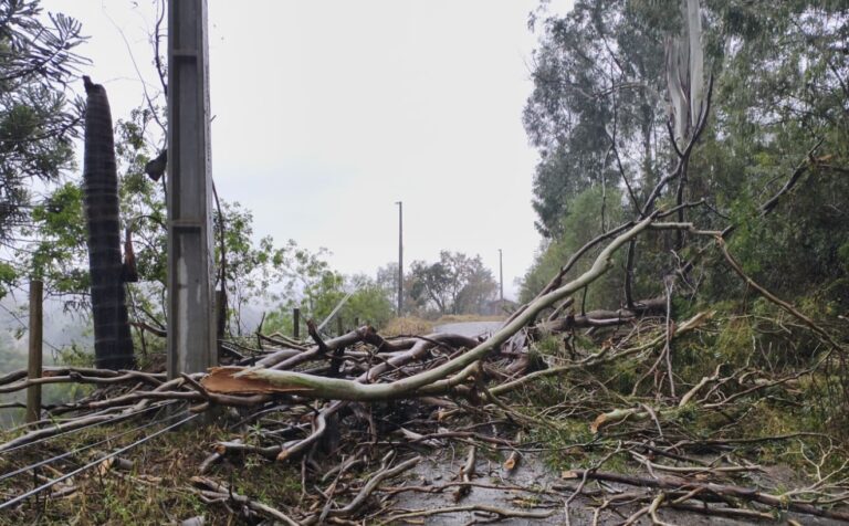 Temporais com granizo levam municípios de SC a decretar situação de emergência