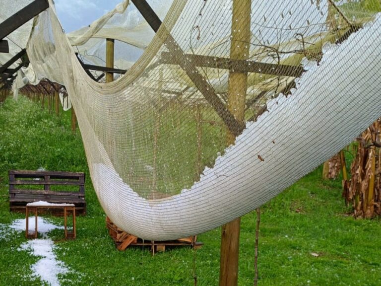SC registra estragos em 14 municípios após chuva forte; alerta segue até sábado