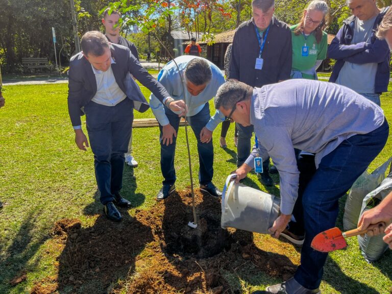 BC +Arborizada planta mais de 2 mil árvores em menos de um ano