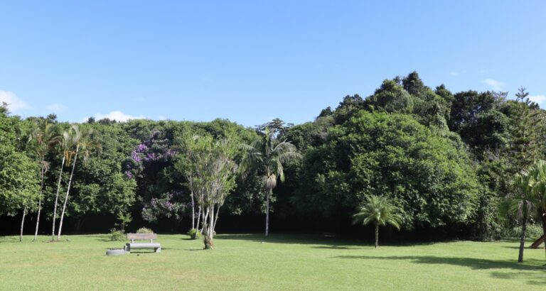 Estudo vai definir limite de visitantes no Parque Raimundo Malta