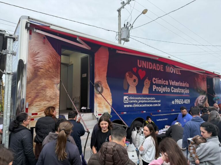 Itapema realiza castração de mais de 340 cães e gatos em mutirão