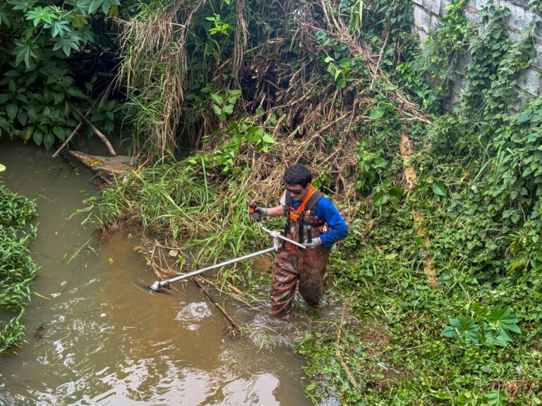 Ribeirão Ariribá recebe limpeza preventiva para reduzir impactos do El Niño
